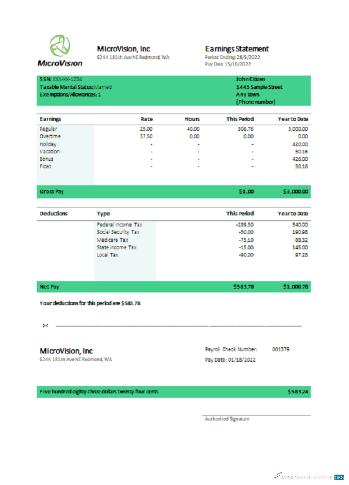 Download USA MicroVision informational company pay stub Photoshop template